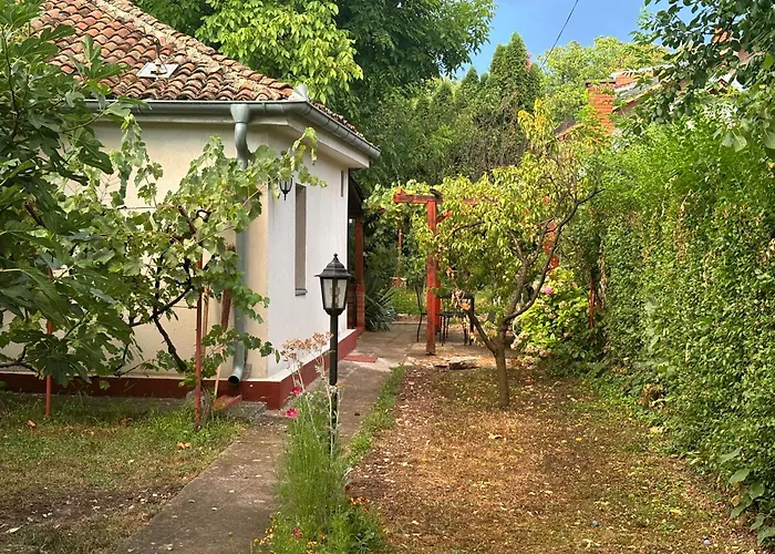 Rustik 2 * Soko Banja