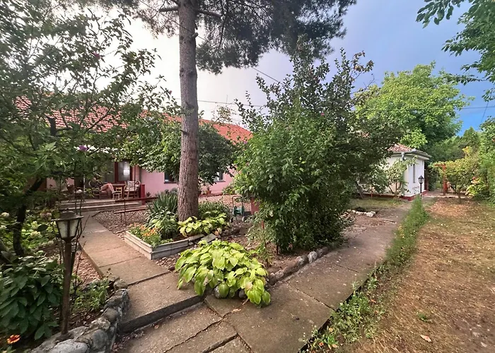 Lägenhet Rustik 2 Soko Banja